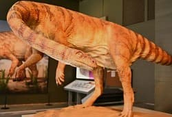 Kgodumodumo Dinosaur Park