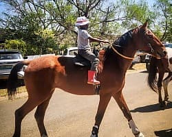 Horse riding